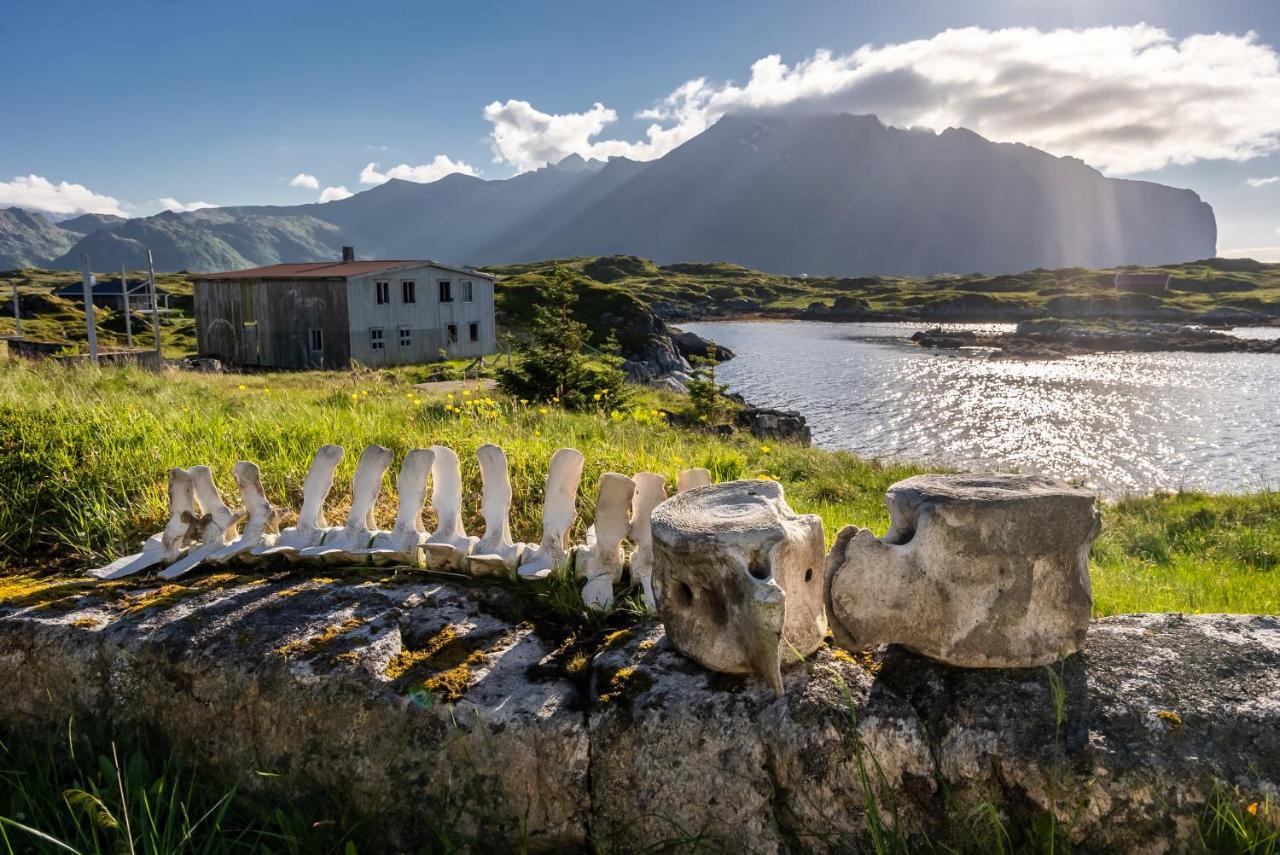 Villa Borgvag - A Unique Seafront Villa In The Heart Of Lofoten Bostad Eksteriør billede