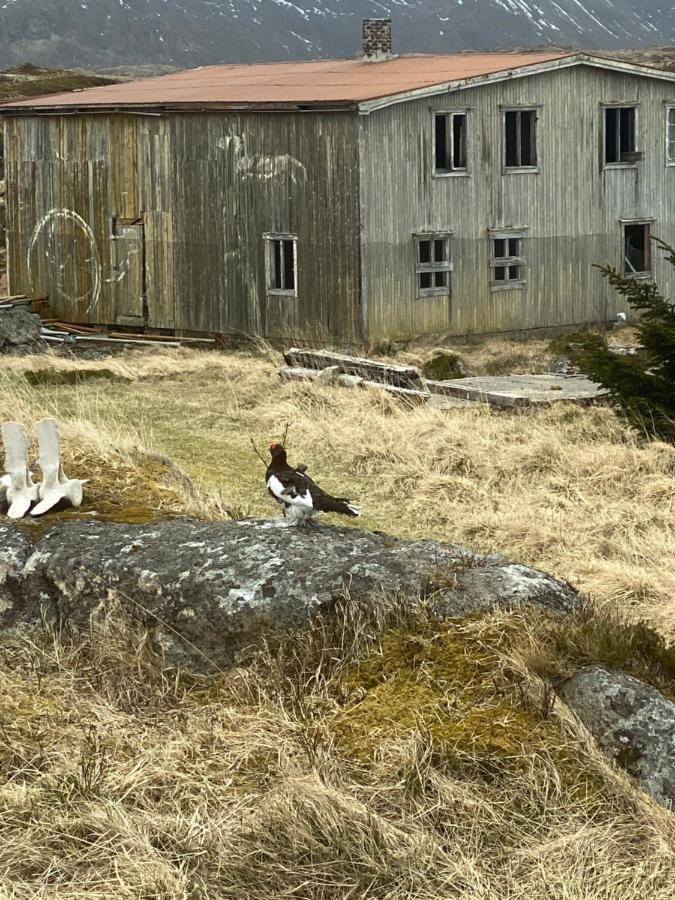 Villa Borgvag - A Unique Seafront Villa In The Heart Of Lofoten Bostad Eksteriør billede